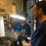 Blair the hawk being examined at the Wild Bird Fund.